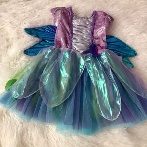 Fairy Dust/Dragonfly/Fairy Princess Costume Dress